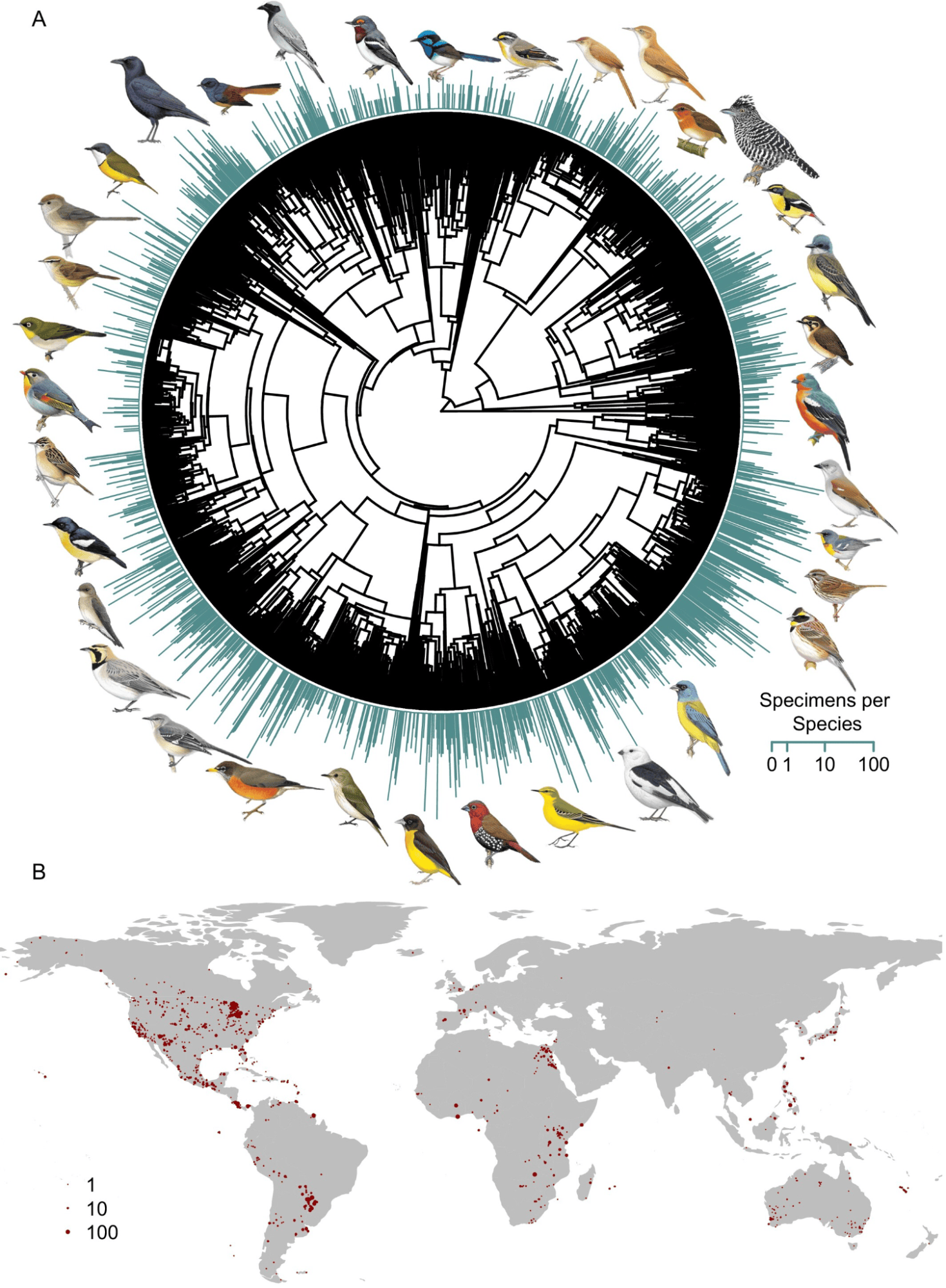 Философствующий Claude 4, Gemini для самых маленьких и пачка агентов-программистов: главные события мая в ИИ - 47 Философствующий Claude 4, Gemini для самых маленьких и пачка агентов-программистов: главные события мая в ИИ - 47