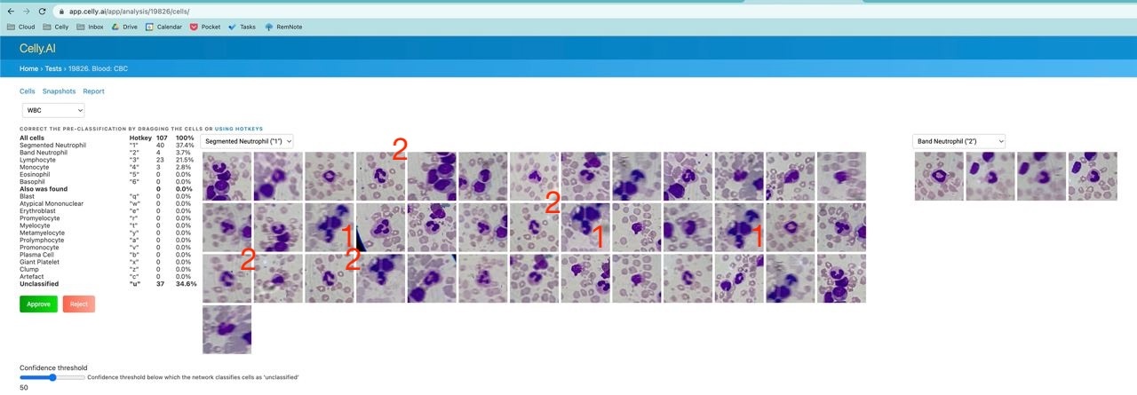 Изображение с портала с повторяющимеся клетками