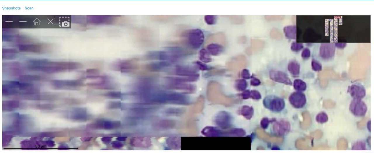 Наложенные на скан смазанные кадры при резком сдвиге