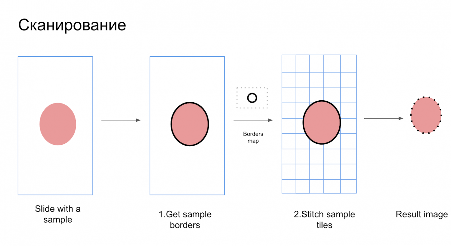Процесс сканирования мазка
