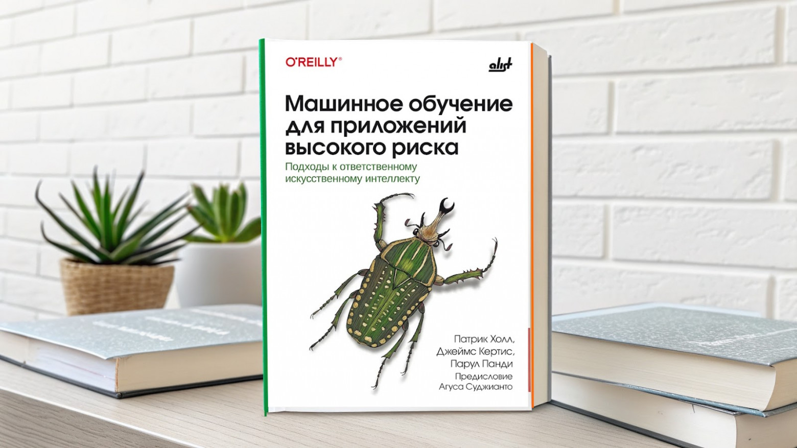 Рецензия на книгу “Машинное обучение для приложений высокого риска” - 1