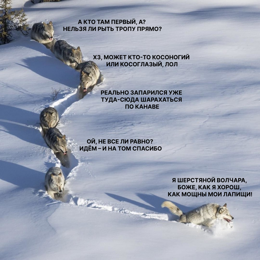 «Разработчик – легенда»: анатомия волчистости в IT - 2