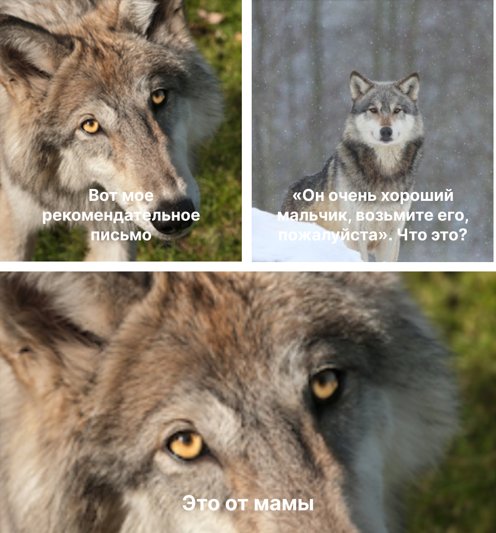 «Разработчик – легенда»: анатомия волчистости в IT - 3