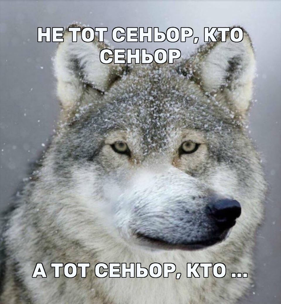 «Разработчик – легенда»: анатомия волчистости в IT - 5