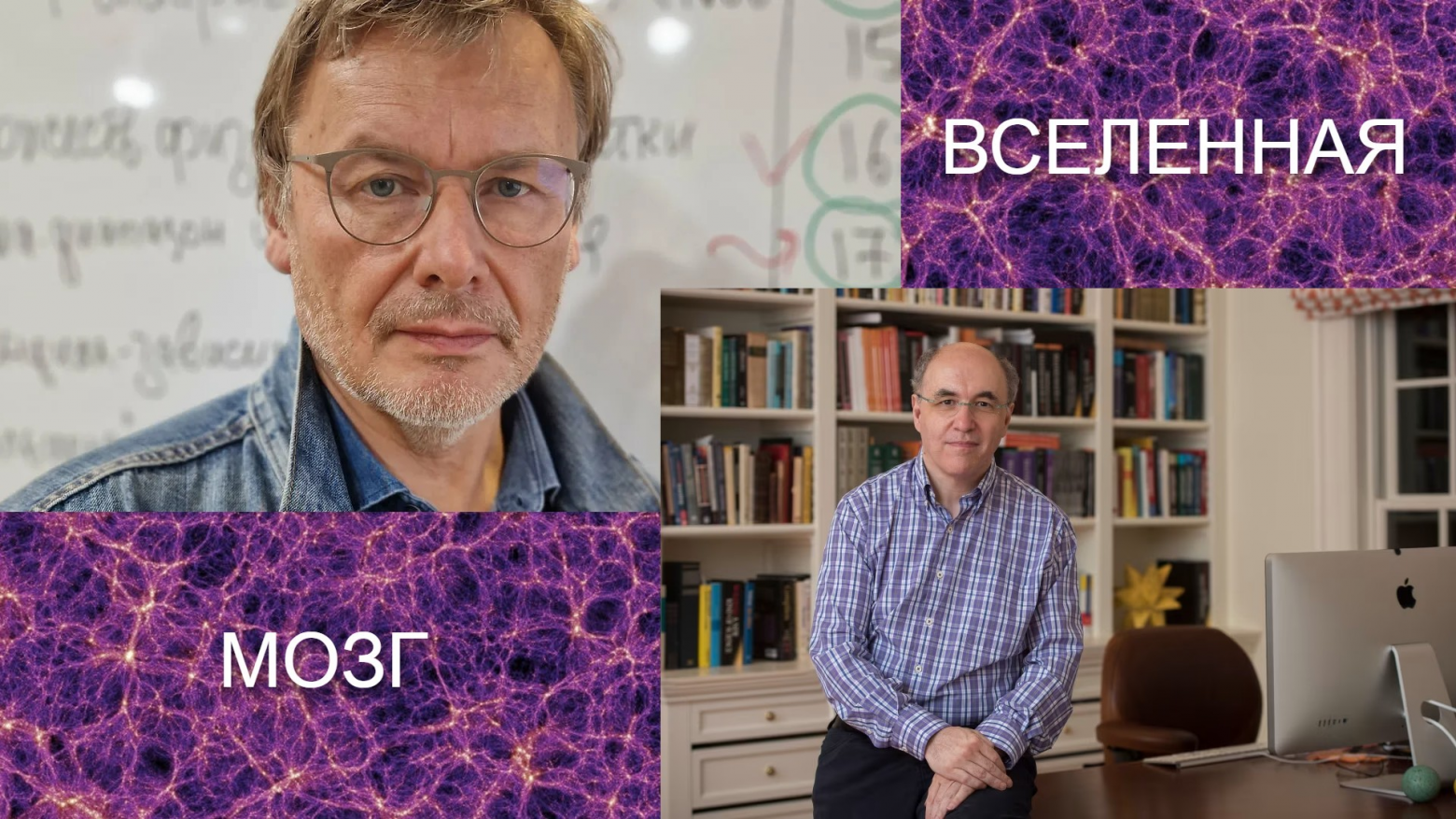 К.В. Анохин и С. Вольфрам: что общего между российским нейробиологом и британским физиком-математиком? - 1 К.В. Анохин и С. Вольфрам: что общего между российским нейробиологом и британским физиком-математиком? - 1