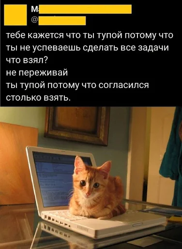 Как выжить в хаосе и стать продуктивным: тайм-менеджмент от топ-экспертов - 8 Как выжить в хаосе и стать продуктивным: тайм-менеджмент от топ-экспертов Мозг, Исследования, Успех, Работоспособность, Тайм-менеджмент, Время, ЗОЖ, Научпоп, Здоровье, Саморазвитие, Мотивация, Обмен опытом, Опыт, Биохакинг, Кофеин, Длиннопост