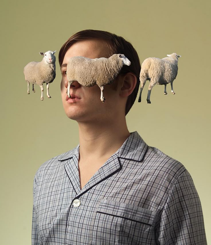 Про сон, сов, жаворонков и то, как наконец начать высыпаться - 1