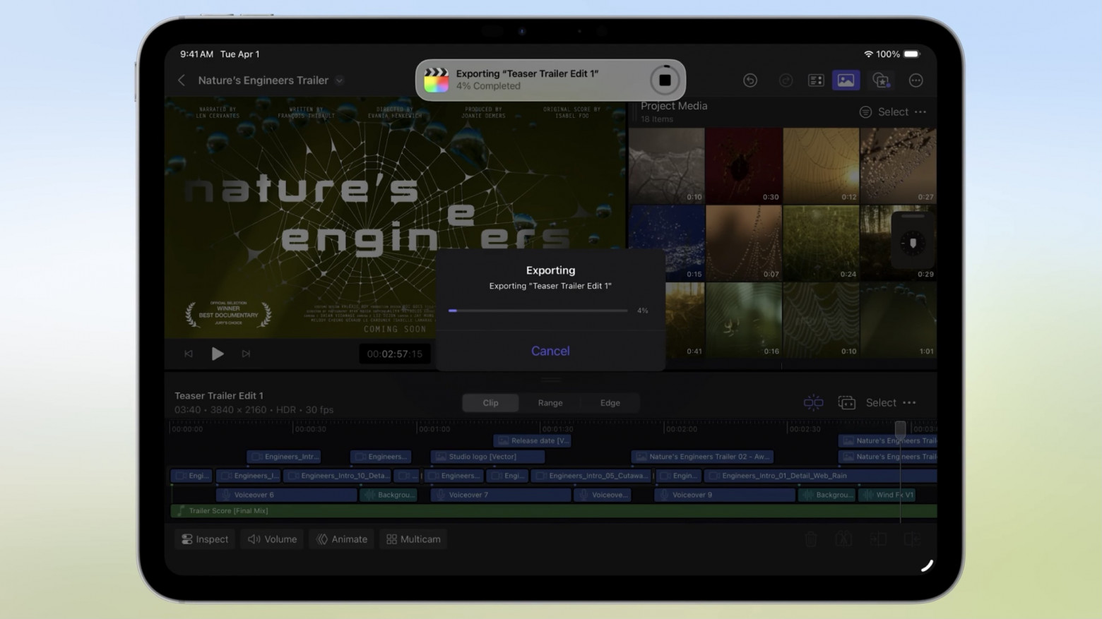Таким образом, можно одновременно разговаривать по FaceTime, записывать видеозвонок и обрабатывать проект не закрывая один из процессов.