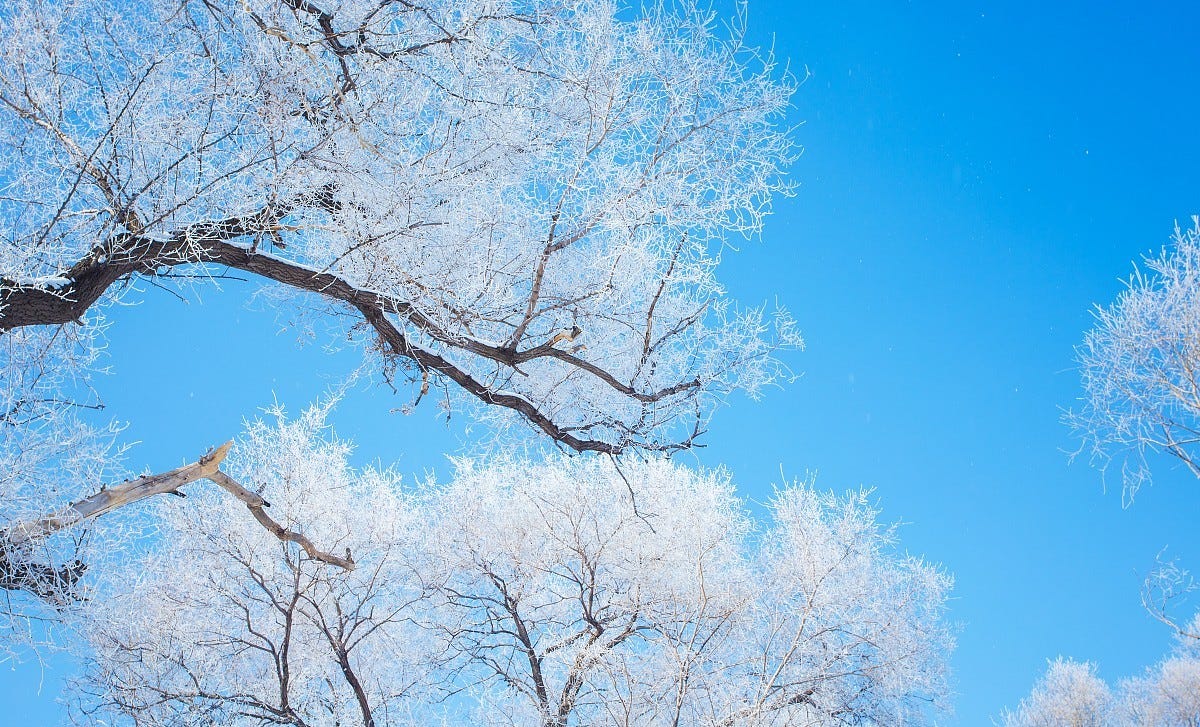 Model Serving в 9 раз быстрее! И никакой замены оборудования - 1