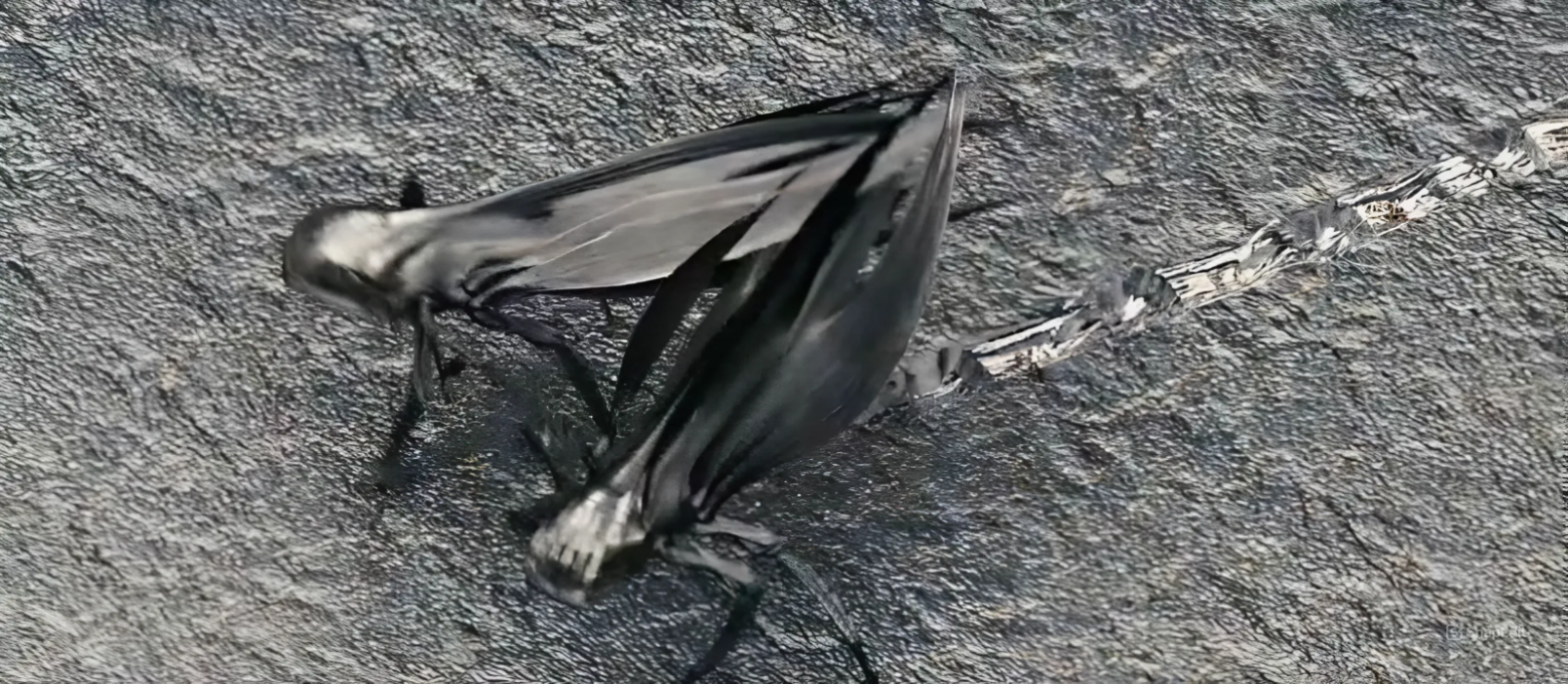 Появился ИИ который программирует сам себя - 2