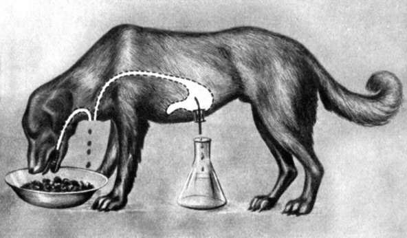 Продакт-плейсмент или как навязали идеи и привычки целым поколениям - 12 Продакт-плейсмент или как навязали идеи и привычки целым поколениям