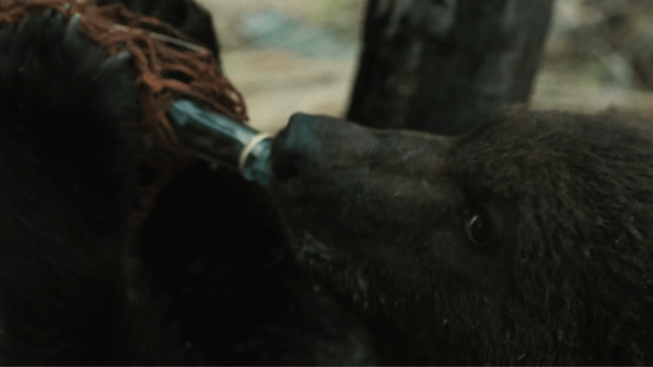 Продакт-плейсмент или как навязали идеи и привычки целым поколениям - 30 Продакт-плейсмент или как навязали идеи и привычки целым поколениям