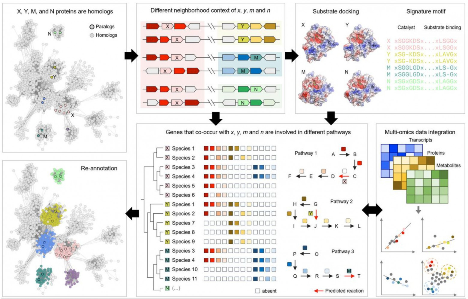 При классификации функции фермента важно учитывать различные типы доказательств (рис. 2 из статьи de Crecy, et al.)