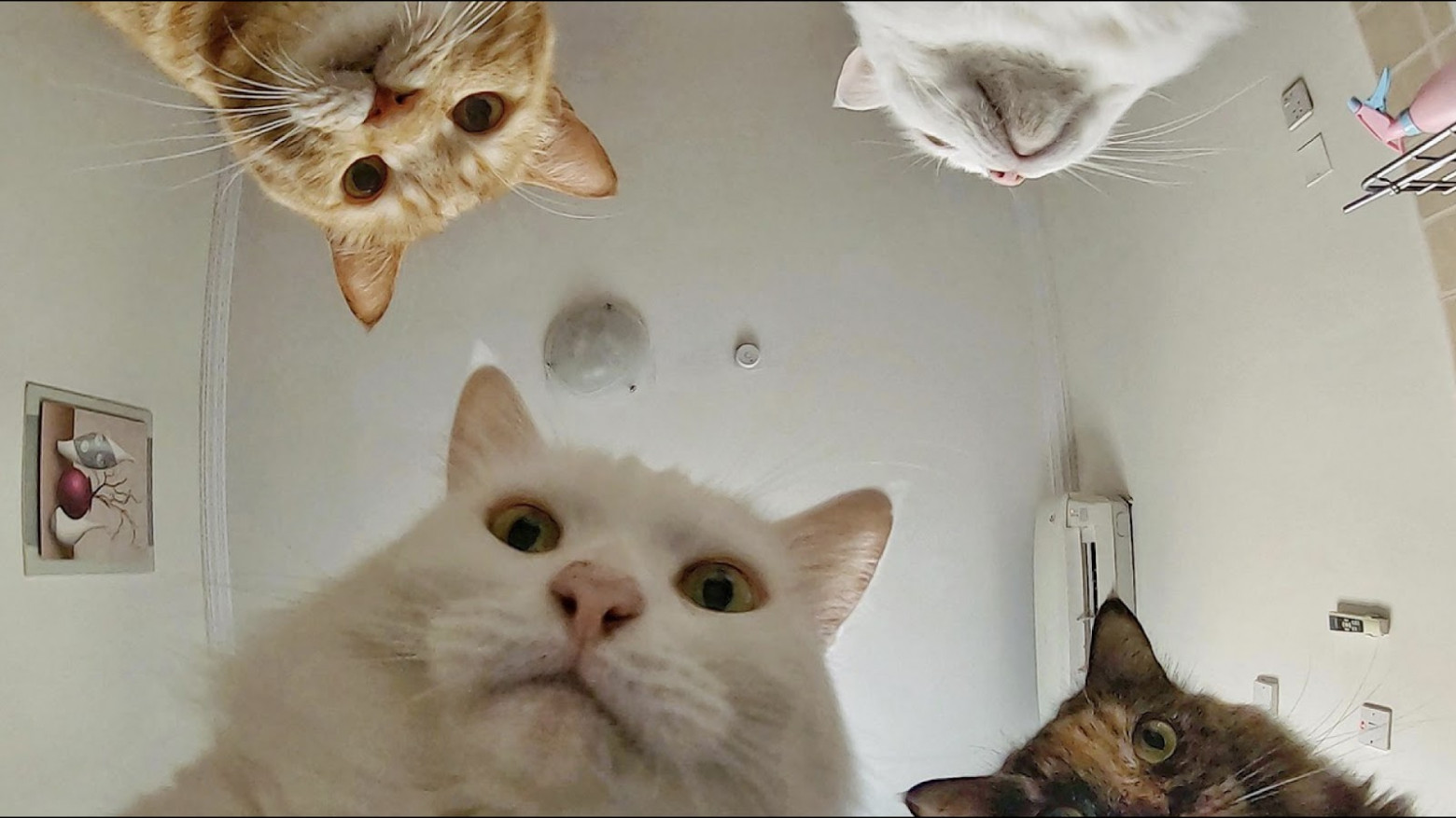 Развёртывание ML-моделей в картинках - 7