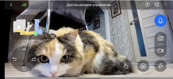 Тишка в объективе камеры ИИ-робота 3I P10 Ultra