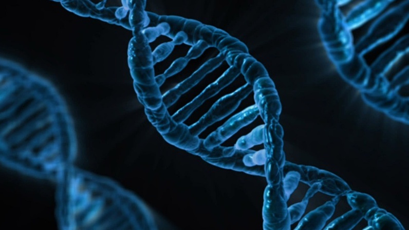 Как генная инженерия начала модифицировать людей и воскрешать виды, и куда мы движемся? - 1