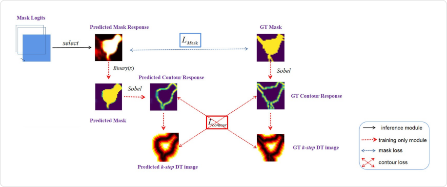Принцип обучения модели с использованием Contour Loss. Источник