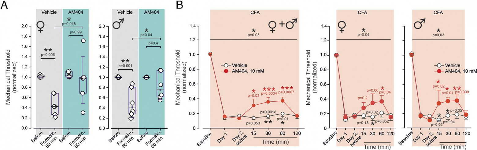 Секрет парацетамола: остановить боль в месте ее зарождения - 8