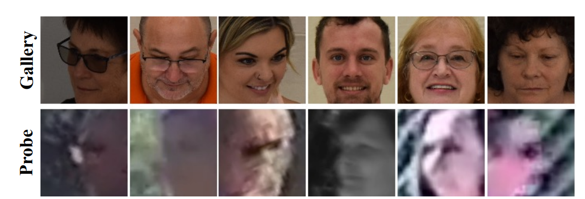 BRIAR датасет, примеры [изображение взято из статьи PETALface] 