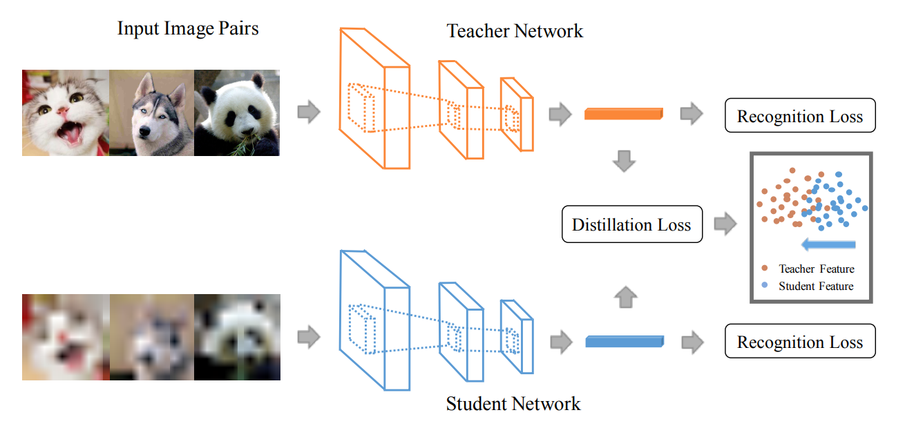 Дистилляция знаний в распознавании лиц низкого качества
