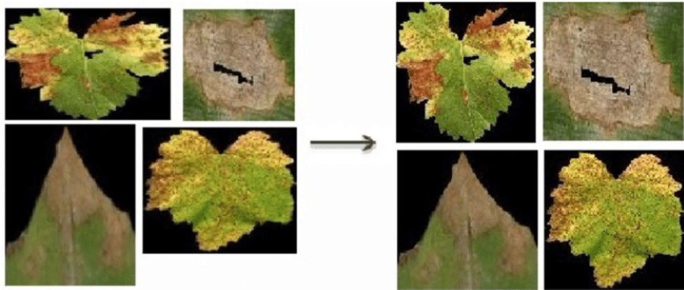 Компьютерное зрение для начинающих - 1 Компьютерное зрение для начинающих - 1