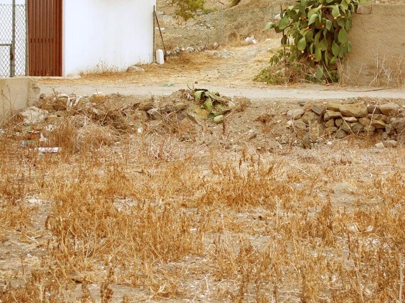 В лаборатории психофизиологии МГУ: ЭЭГ как инструмент реверс-инжиниринга мозга и интерфейс мозг-компьютер - 22 image