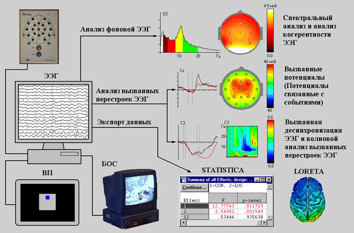 В лаборатории психофизиологии МГУ: ЭЭГ как инструмент реверс-инжиниринга мозга и интерфейс мозг-компьютер - 28 image