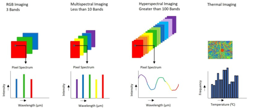 Компьютерное зрение в сельском хозяйстве - 2 Компьютерное зрение в сельском хозяйстве - 2