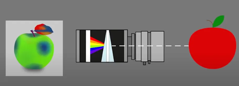 Компьютерное зрение в сельском хозяйстве - 4 Компьютерное зрение в сельском хозяйстве - 4