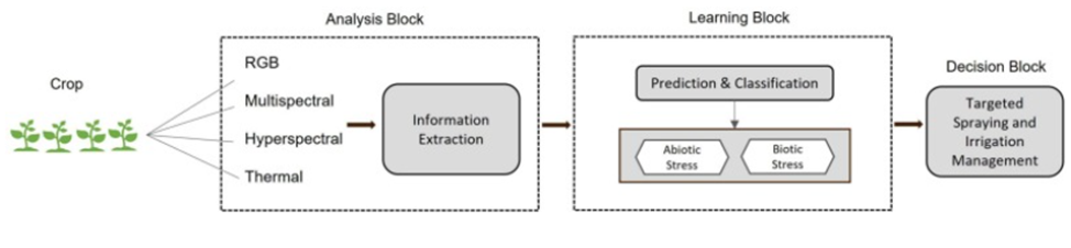 Компьютерное зрение в сельском хозяйстве - 8 Компьютерное зрение в сельском хозяйстве - 8