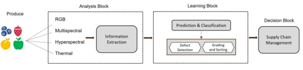 Компьютерное зрение в сельском хозяйстве - 9 Компьютерное зрение в сельском хозяйстве - 9