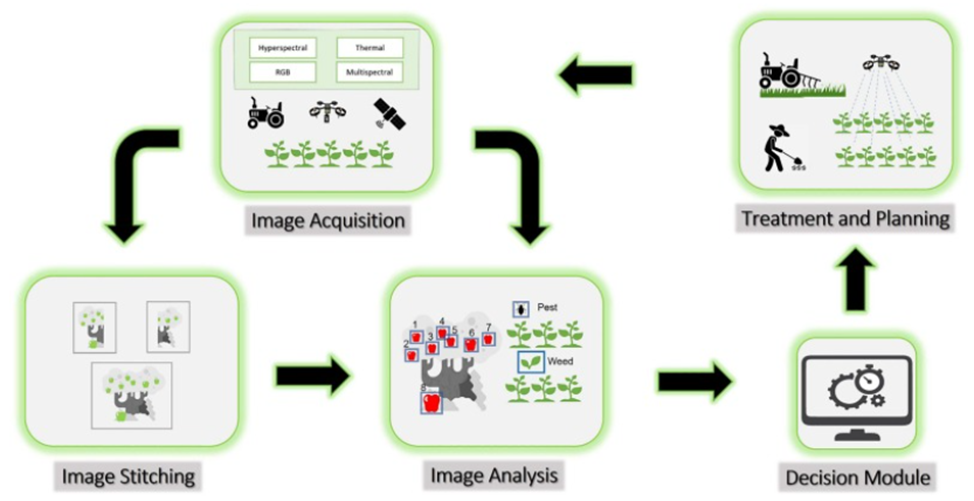 Компьютерное зрение в сельском хозяйстве - 1 Компьютерное зрение в сельском хозяйстве - 1