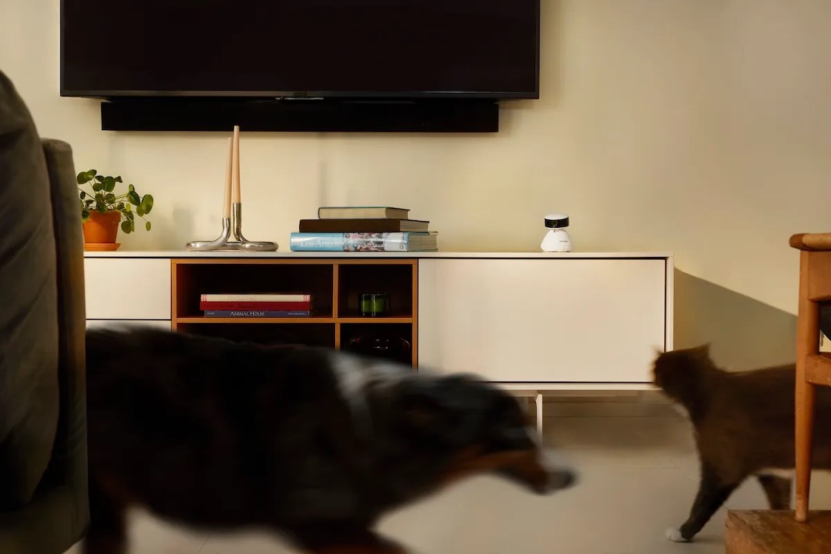 Petlibro выпустила умную ИИ-камеру для питомцев, которая распознаёт действия животного - 1