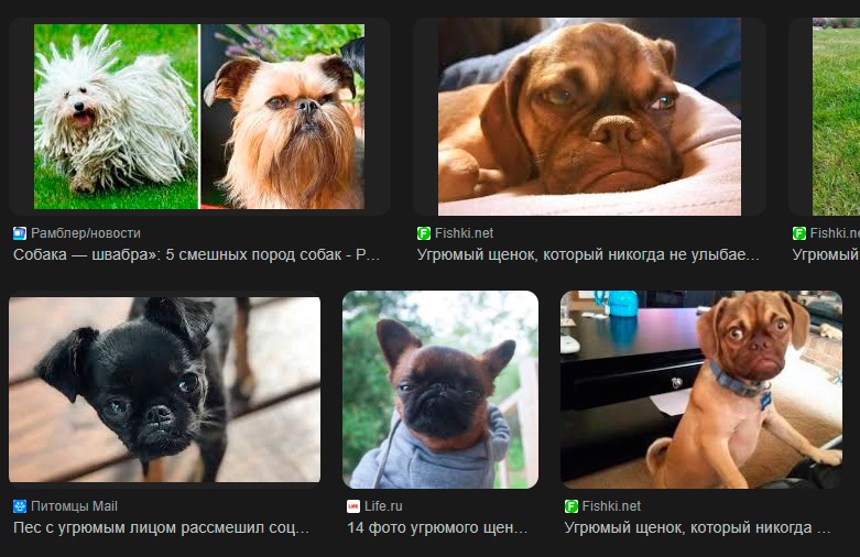 «Тупой ИИ» с нами надолго. Почему в новых моделях больше галлюцинаций - 7 «Тупой ИИ» с нами надолго. Почему в новых моделях больше галлюцинаций - 7