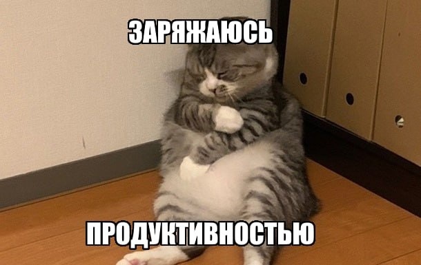 Я сплю на рабочем месте и вам советую - 1 Я сплю на рабочем месте и вам советую - 1