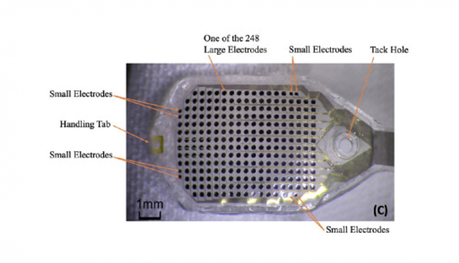Бионическое зрение: технологии, позволяющие вернуть зрение - 4 Бионическое зрение: технологии, позволяющие вернуть зрение - 4