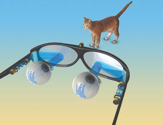 Бионическое зрение: технологии, позволяющие вернуть зрение - 1 Бионическое зрение: технологии, позволяющие вернуть зрение - 1