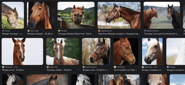 Как мы научили нейросеть узнавать 10 000 лошадей «в лицо» и чуть не сошли с ума - 1