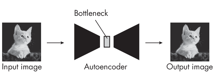 Рис. 1.3: Автоэнкодер восстанавливающий исходное изображение
