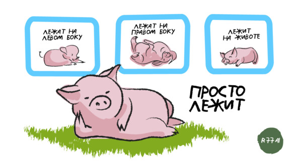 Как понять что свинюшка готова к любви? Определяем через ML