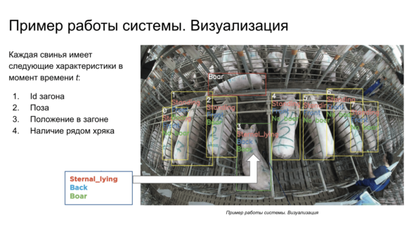 Как понять что свинюшка готова к любви? Определяем через ML