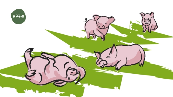 Как понять что свинюшка готова к любви? Определяем через ML - 6