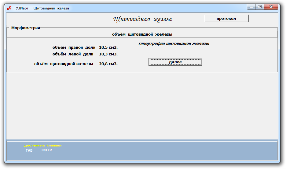 УЗИарт: как врач УЗИ создал себе программу для автоматической подготовки медицинских протоколов - 6 УЗИарт: как врач УЗИ создал себе программу для автоматической подготовки медицинских протоколов - 6