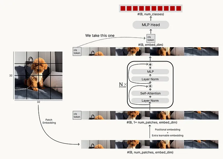 Vision Transformer architecture 