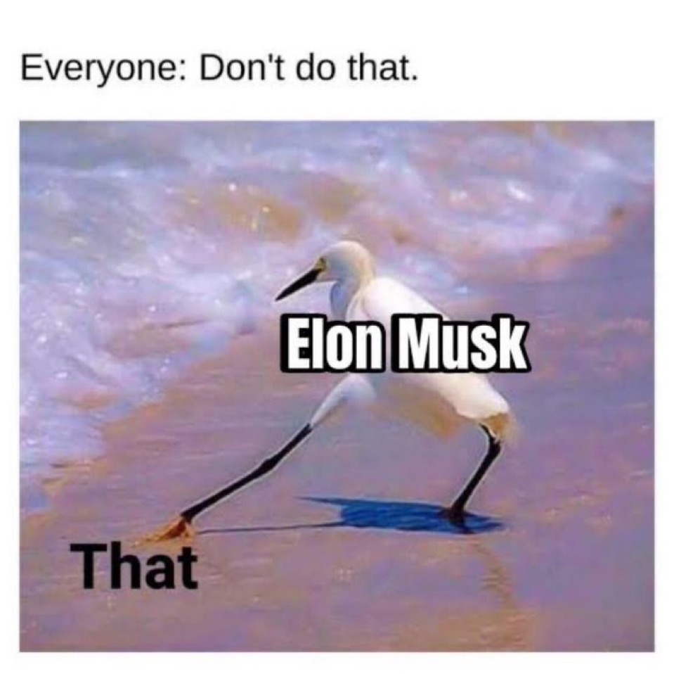 Демократы, надо сказать, в экстазе: ведь новая «правая» партия сможет расколоть базу поддержки республиканской партии и оттянуть у нее часть голосов