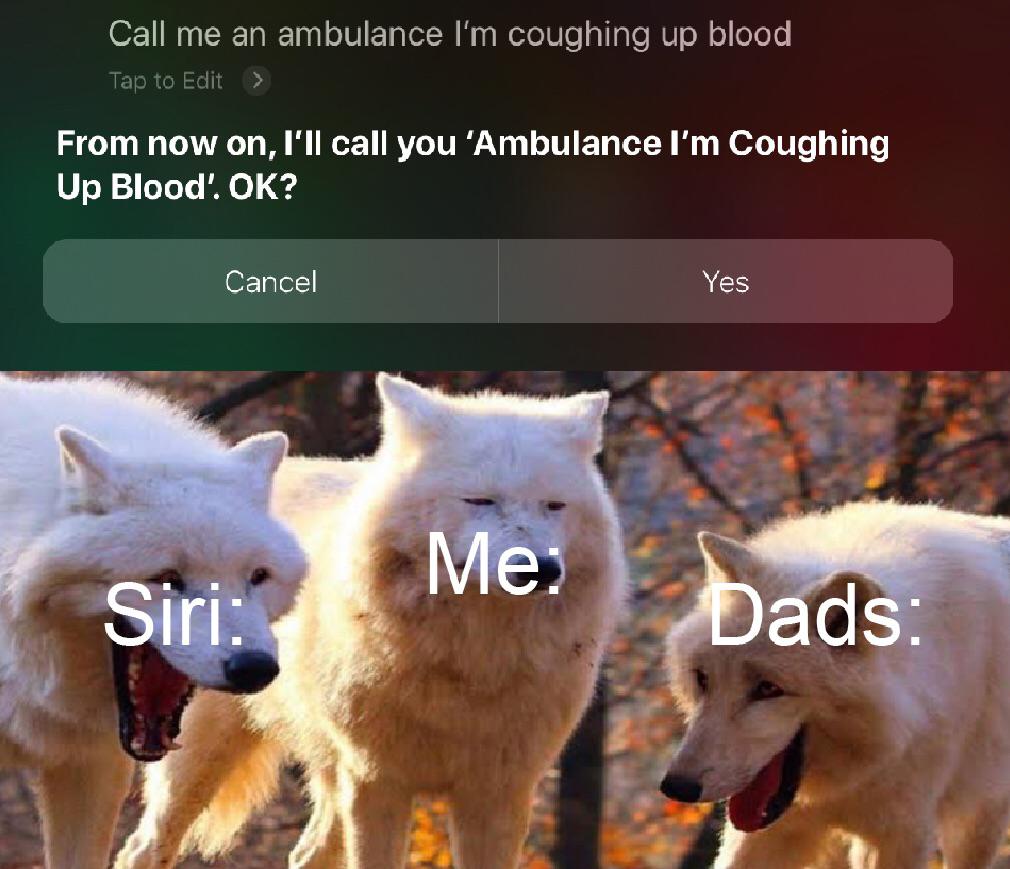 Что ж, похоже, есть риск, что мы в итоге лишимся потешных Siri-мемов (или их наоборот станет больше?)