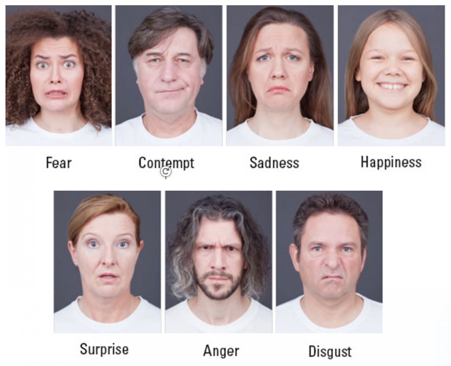 Дискретное представление П. Экмана