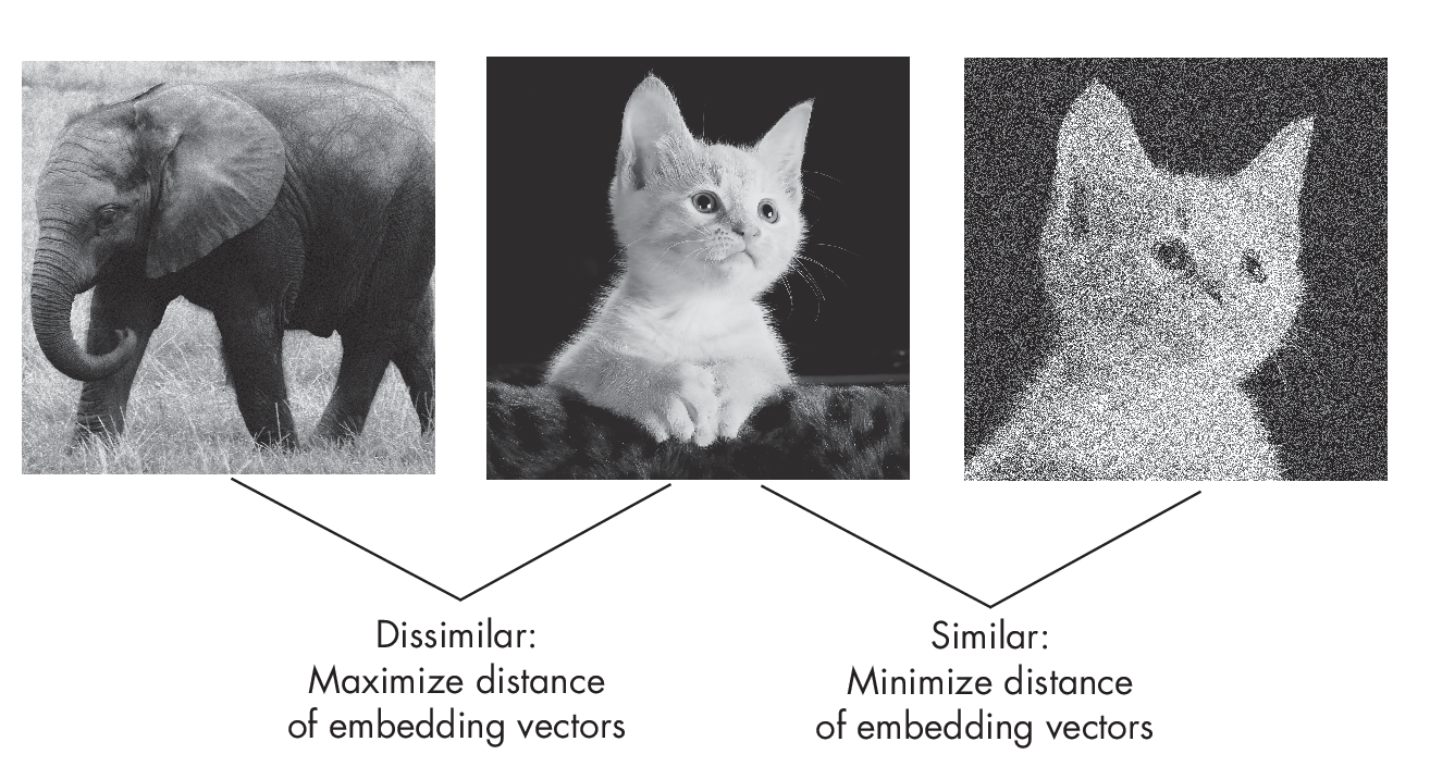 Рисунок 1.5: Пары изображений, встретившихся в процессе контрастного обучения