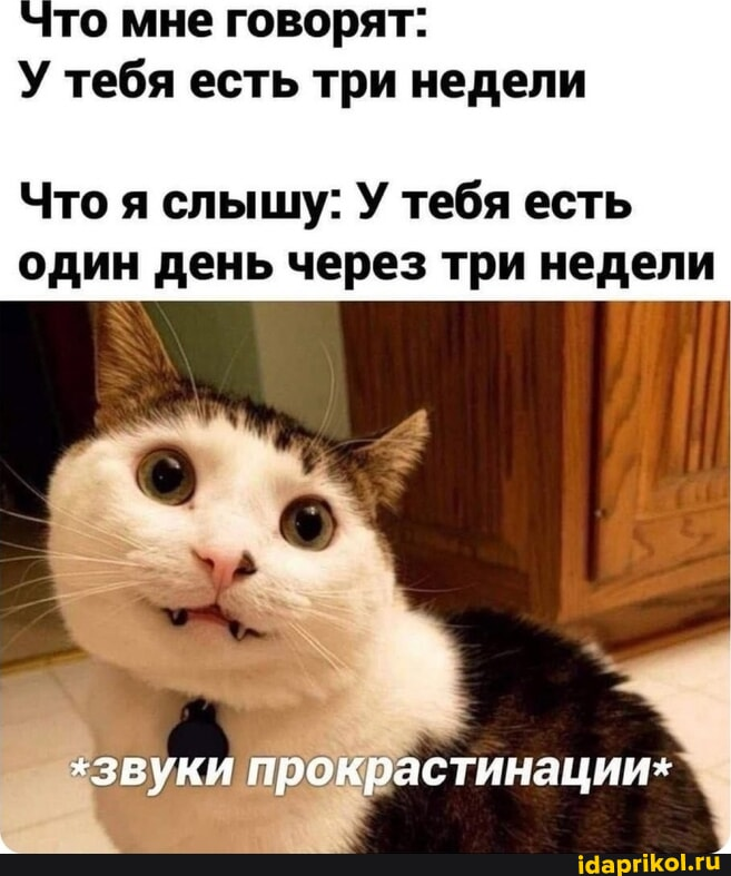 «Хочу, но боюсь и не делаю»: что делать со страхом того, что не получится? - 12 «Хочу, но боюсь и не делаю»: что делать со страхом того, что не получится? - 12