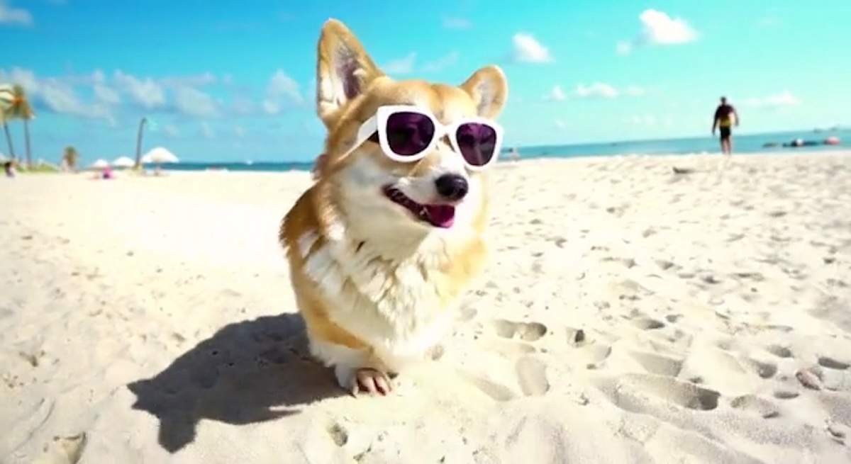 ИИ-система StreamDiT генерирует видео в реальном времени со скоростью 16 кадров в секунду и разрешением 512p - 1 ИИ-система StreamDiT генерирует видео в реальном времени со скоростью 16 кадров в секунду и разрешением 512p - 1